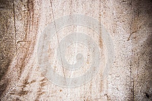 Texture wood background , basic classic wood style for deskwork