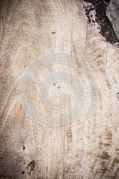 Texture wood background , basic classic wood style for deskwork