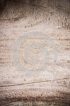 Texture wood background , basic classic wood style for deskwork
