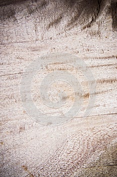Texture wood background , basic classic wood style for deskwork