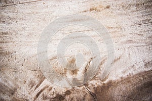 Texture wood background , basic classic wood style for deskwork