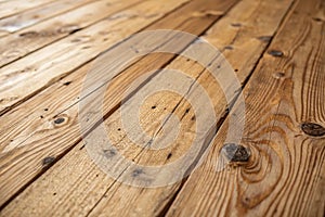 Texture of wood background closeup