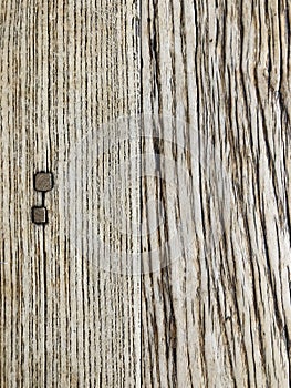 Texture of wood background closeup, rustic weathered barn wood background