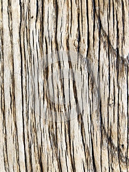 Texture of wood background closeup, rustic weathered barn wood background