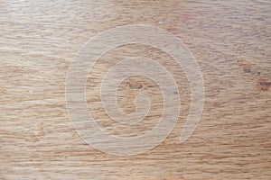 Texture of wood can be used as background or decoration.
