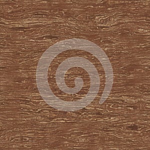 Texture wood  Ceder. High quality 4K