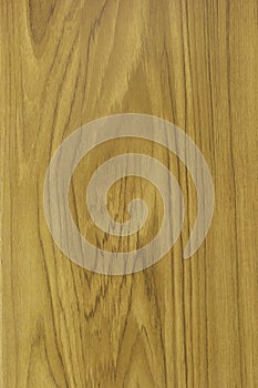 Texture of wood pattern background