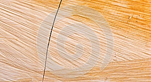 Texture of wood plank surface background