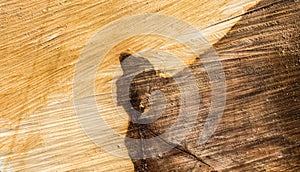 Texture of wood plank surface background