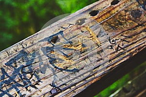 Texture of wood railing covered in carvings