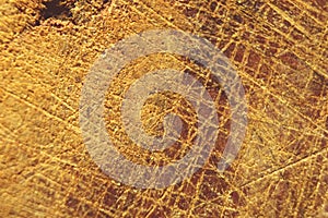 Texture, wood stump, yellowish brown, background