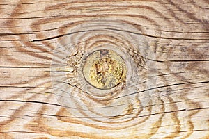 Texture of a wooden board