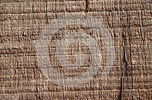 Texture of a wooden board, background.