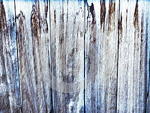 Texture wooden door of a stable