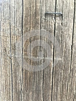 texture of a wooden planking. photo