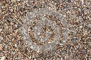 Texture of wooden sawdust of large fraction. A bunch of wood chip. Sawdust or wood dust texture background. Natural floor sensory