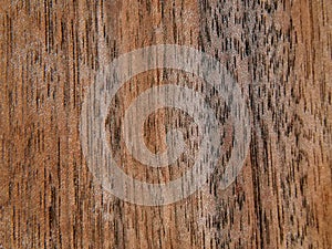 Texture of a wooden surface of an American walnut tree. Wood veneer for furnitur