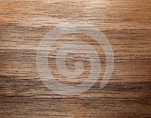 Texture of a wooden surface of an American walnut tree. Wood veneer for furnitur