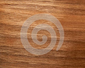 Texture of a wooden surface of an American walnut tree. Wood veneer for furnitur