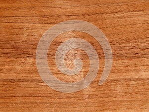 Texture of a wooden surface of an American walnut tree. Wood veneer for furnitur