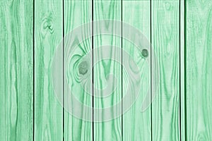 Texture of surface as background. Image toned in mint color