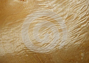 Texture of a wooden surface of a tree with a poplar root. Wood veneer for furniture