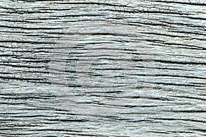 Texture of wooden use as natural. Vintage colorful Wood plank for texture or background for creative layout with copy space for