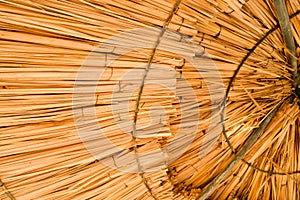 texture of the yellow natural beach sun-protective straw from the hay umbrella. The background.