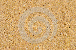 Rough Texture of Yellow Sand Wall.