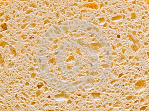 Texture of yellow shower sponge for body