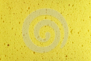 Texture yellow sponge