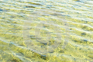 Texture of a yellow water surface