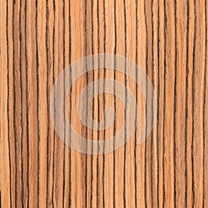 Texture zebrano, wood grain