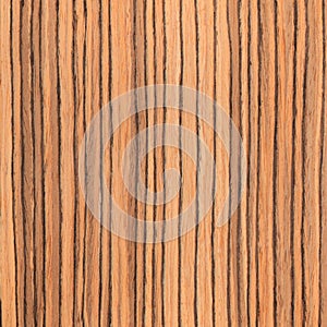 Texture zebrano, wood grain photo