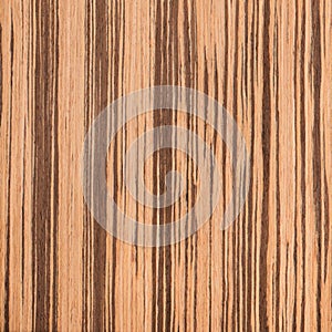 Texture of zebrano, wood grain photo