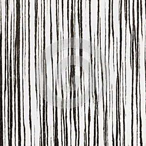 Texture of zebrano, wooden background photo