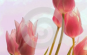 Textured abstract tulip spring background