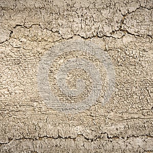 Textured background: Closeup abstract cracked clay background