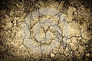 Textured background of cracked dry earth