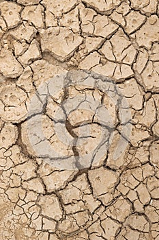 Textured background of cracked dry soil surface as a symbol of the collapse of hope