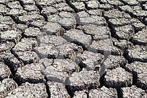 Textured background of dry cracked earth surface