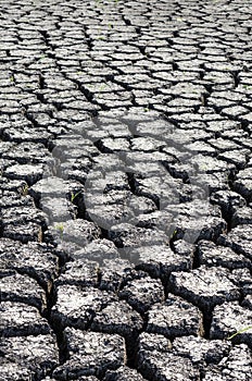 Textured background of dry cracked earth surface