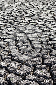 Textured background of dry cracked earth surface