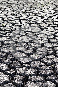 Textured background of dry cracked earth surface