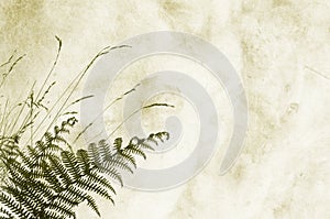 Textured background with fernery - space for text