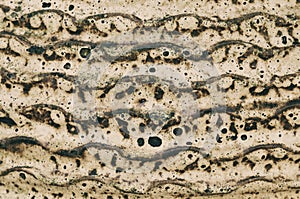 The textured background of stone wall art with yellowish-brown rust, striped lines, and wave-like.