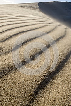 Textured Beach Sand on Dune