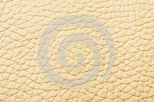 Textured beige leather closeup. Full frame, close up. Macro