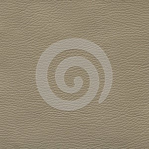 A textured brown leather background for designers