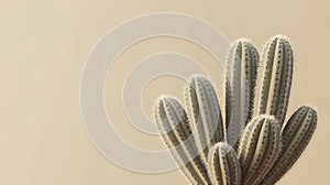 Textured Cactus Pads with Spines on Blurred Background ai generated